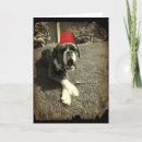 Search for cooper cards Cute