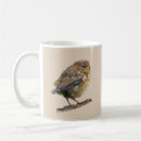 Search for blackbird coffee mugs Blue