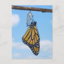 Search for digital animals postcards Pattern