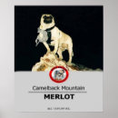 Search for funding posters Fundraising