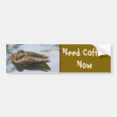 Search for duck bumper stickers Animal