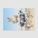 Search for cow and chicken tissue paper Sheep