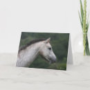 Search for section cards Horse
