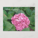 Search for hydrangea postcards Flowers