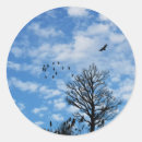 Search for blue eagle stickers Birds