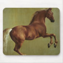 Search for george stubbs mousepads Canvas