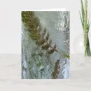 Search for fern cards Summer