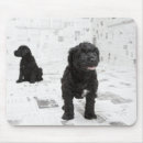 Search for bizarre mousepads Humour