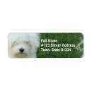 Search for maltese return address labels Puppy