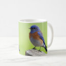 Search for bluebird mugs Animal