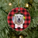 Search for dog bone christmas tree decorations Modern