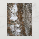 Search for bark postcards Forest