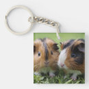 Search for baby pigs key rings Guinea