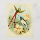 Search for rare postcards Cute