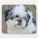 Search for shih electronics Black and white