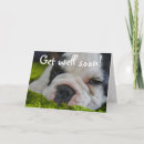 Search for french get well cards Dog