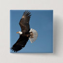 Search for bird flight badges Nature