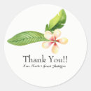 Search for plumeria stickers Island