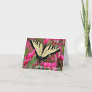 Search for ornithology cards Bird watching