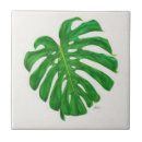 Search for monstera tiles Rainforest