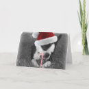 Search for boston christmas cards Santa
