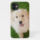 Search for golden retriever puppy iphone cases Animal