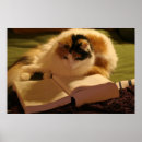Search for scholar posters Study