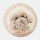 Search for miniature magnets Puppy