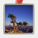 Search for scenic christmas tree decorations Desert