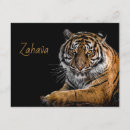 Search for black tiger invitations Safari