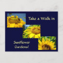 Search for contentment postcards Joy