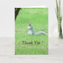 Search for squirrel thank you cards Nature