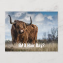 Search for bad day postcards Cute