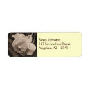 Search for raindrop return address labels Flower