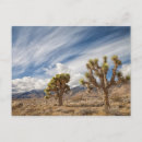 Search for objects cards invites Scenics