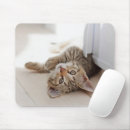 Search for baby mousepads Domestic animals