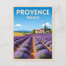 Search for provence Lavender