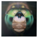 Search for macro tiles Wildlife
