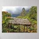 Search for huts posters Tropical