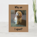 Search for upset cards Funny