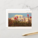Search for mount rainier national park postcards Alpine flowers