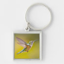 Search for ie key rings Bird