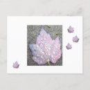 Search for drop leafs postcards Autumn