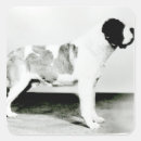 Search for large dog breed stickers English