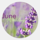 Search for lavendar stickers Lavender
