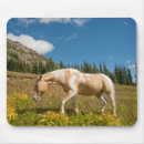 Search for hart electronics Horse