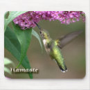 Search for magic garden mousepads Nature