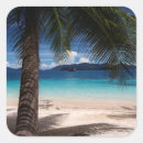 Search for koh stickers Island