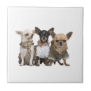 Search for dog breed tiles Cute
