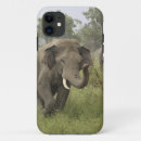 Search for indian elephant iphone cases Corbett
